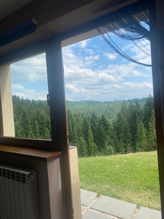 Apartament W Gorach Gorce Nowy Targ Kültér fotó