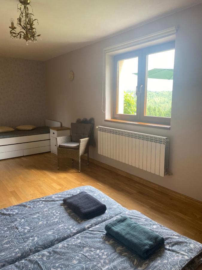 Apartament W Gorach Gorce Nowy Targ Kültér fotó