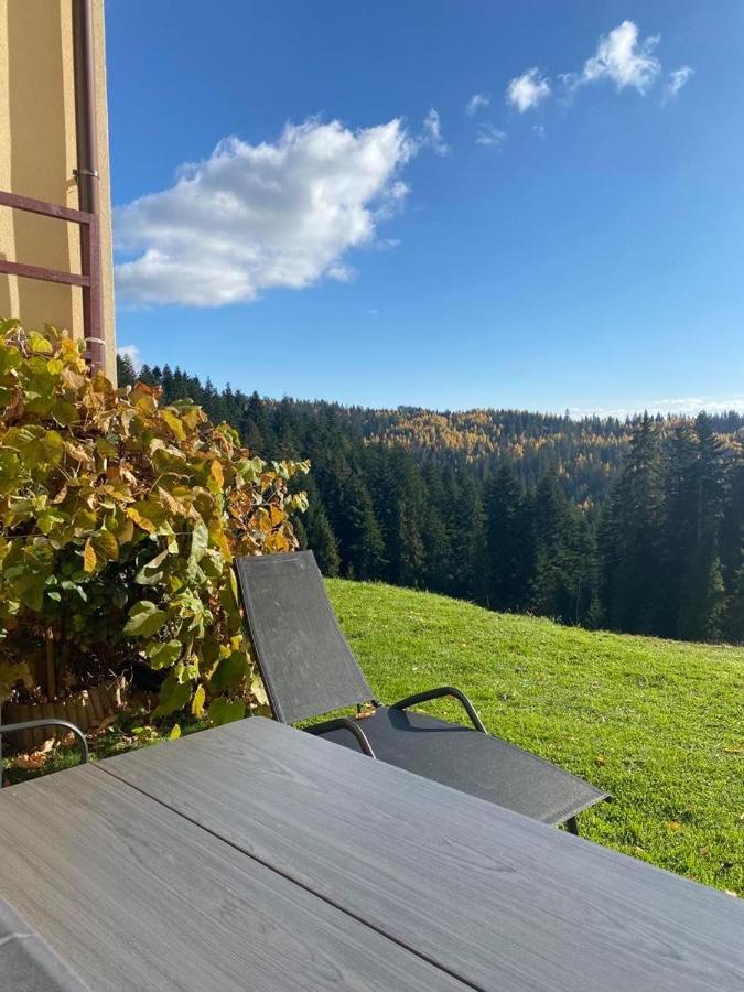 Apartament W Gorach Gorce Nowy Targ Kültér fotó