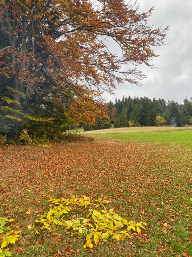 Apartament W Gorach Gorce Nowy Targ Kültér fotó