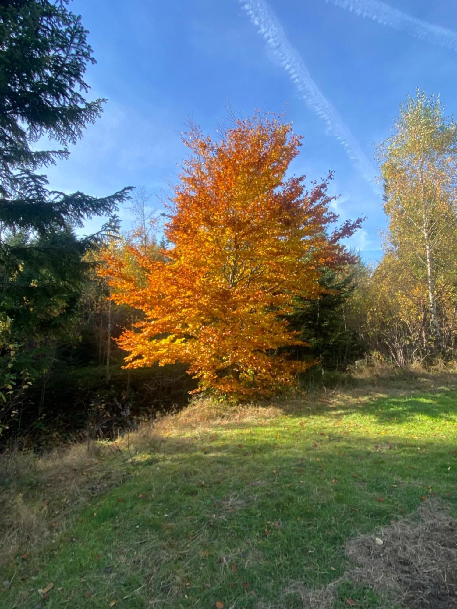 Apartament W Gorach Gorce Nowy Targ Kültér fotó
